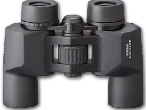 AP 10x30 WP Porro Prism Binoculars #