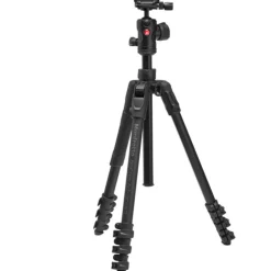 Befree Advanced AS Aluminum Travel Tripod with 494 Center Ball Head