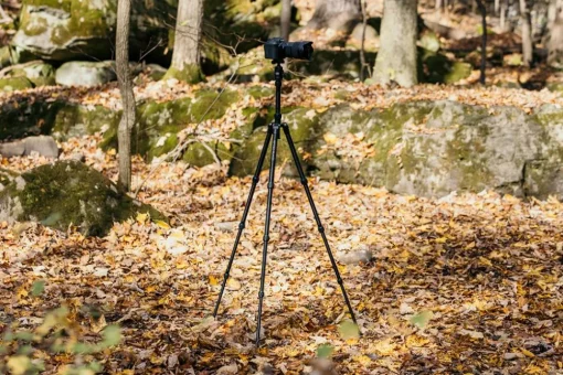 Black 4-Section Pro Carbon Fibre Travel Tripod